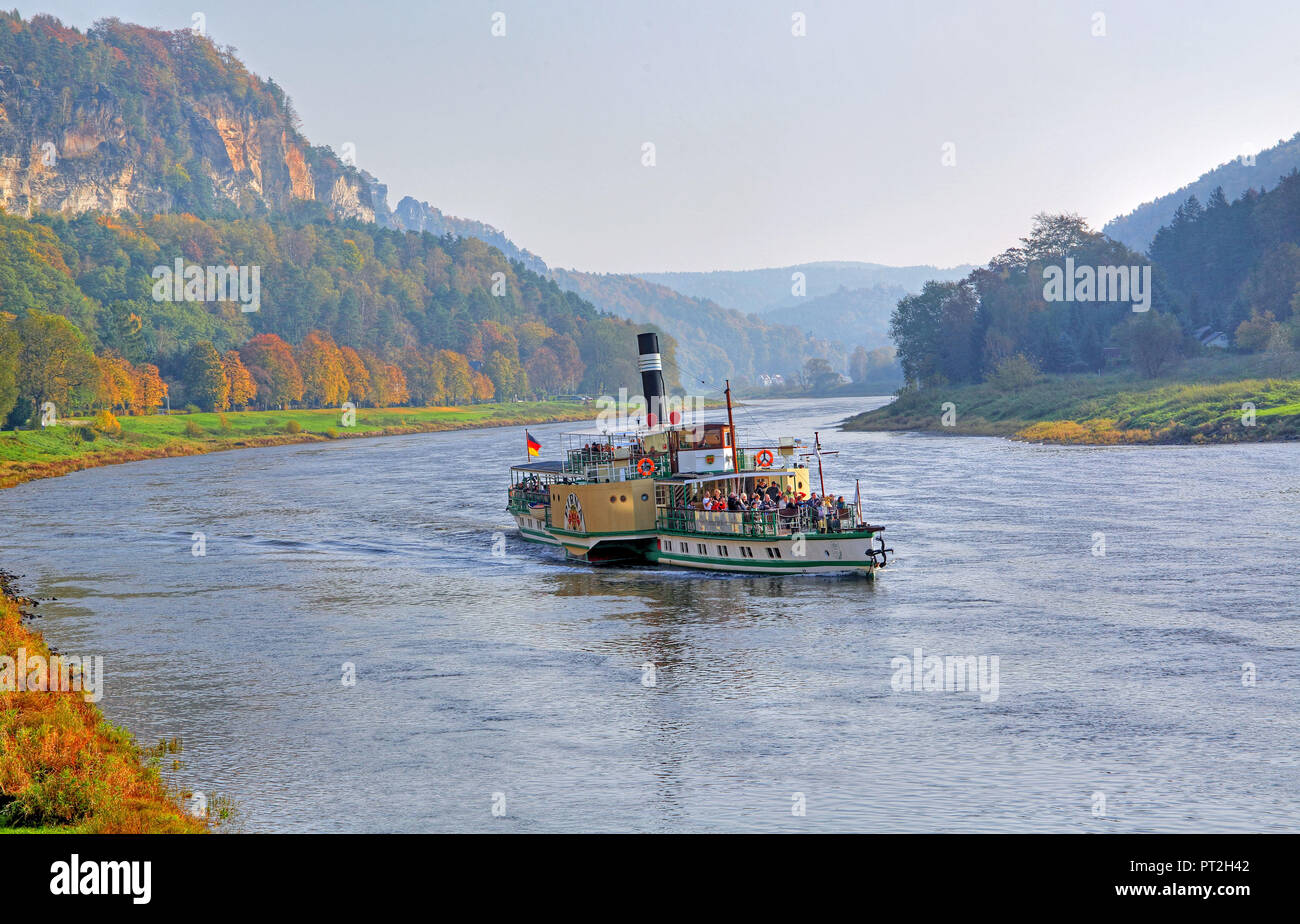 Historische Raddampfer auf der Elbe in der Nähe der Stadt Wehlen, Elbsandsteingebirge, Sächsische Schweiz, Sachsen, Deutschland Stockfoto