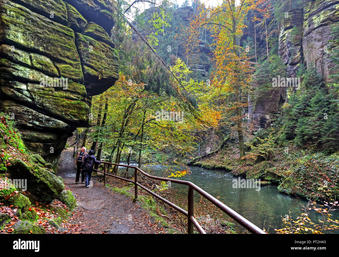 Tal der Kamnitz, Hrensko (Herrskretschen), Elbsandsteingebirge, Böhmische Schweiz, Nordböhmen, Tschechische Republik Stockfoto