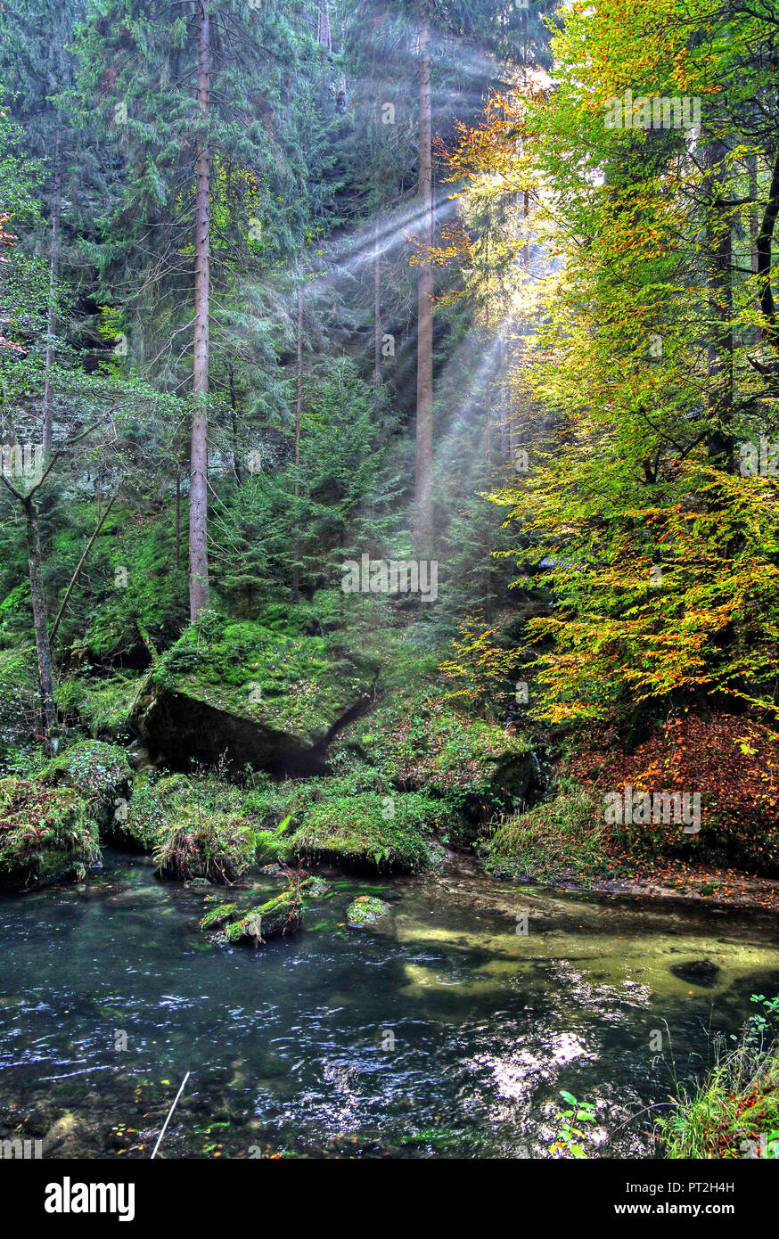 Tal der Kamnitz, Hrensko (Herrskretschen), Elbsandsteingebirge, Böhmische Schweiz, Nordböhmen, Tschechische Republik Stockfoto
