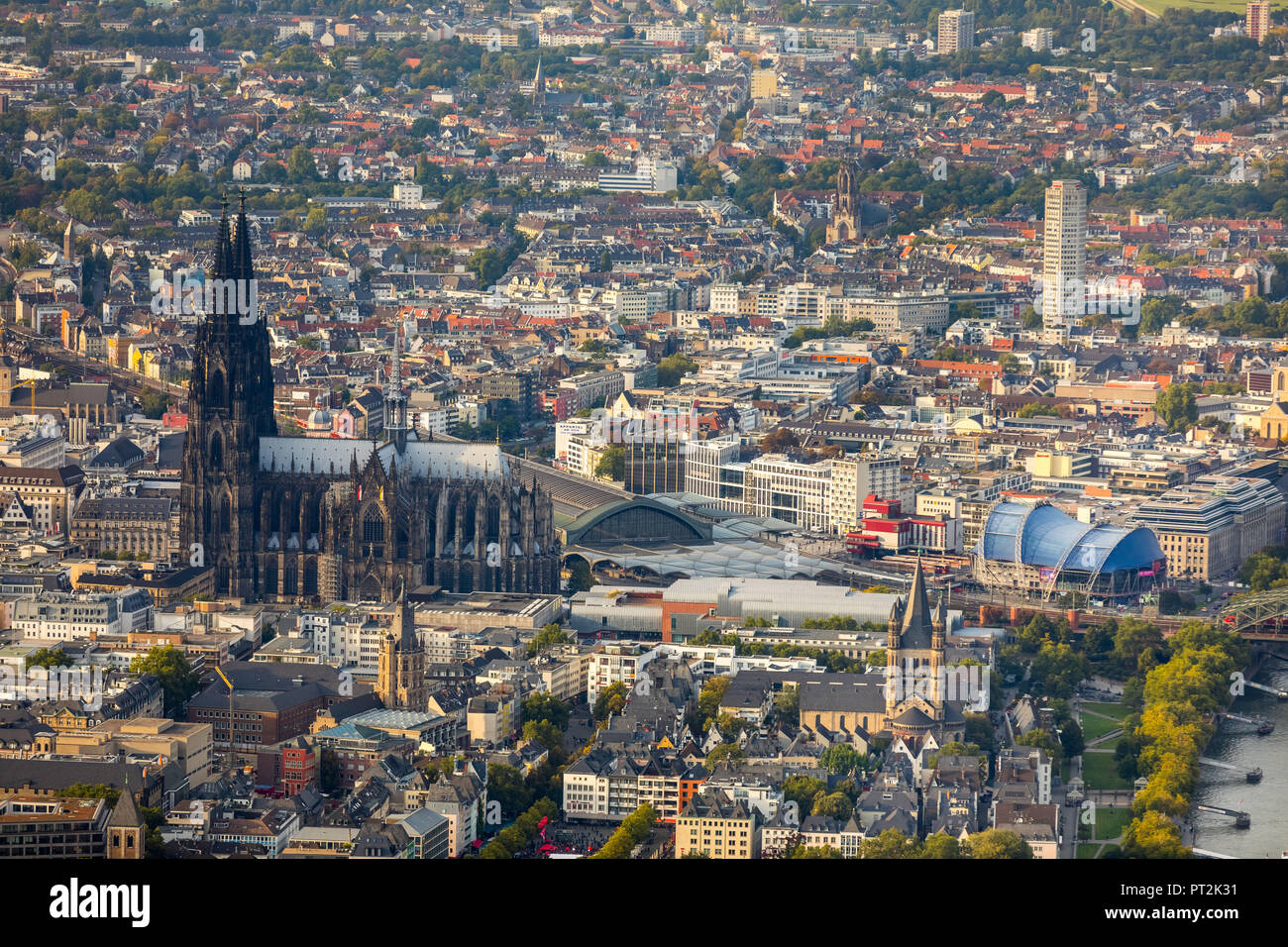 Der Kölner Dom, von Süden gesehen, Köln-Mitte, Domplatte, neben dem Römisch-Germanischen Museum, Köln, Rheinland, Nordrhein-Westfalen, Deutschland Stockfoto