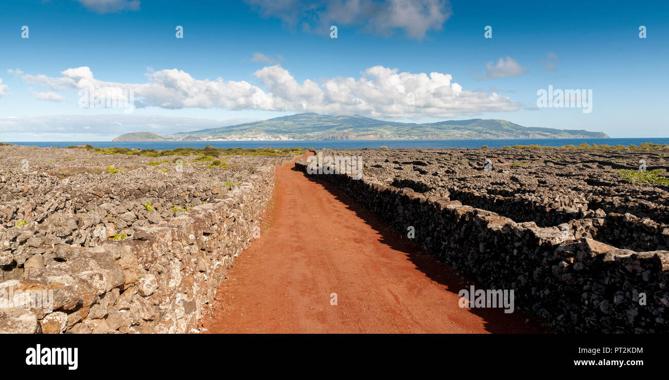 Rote Spur durch die Weinberge von vulkanischen Steinmauern begrenzt, Ansicht von Pico auf die benachbarte Insel Faial Stockfoto