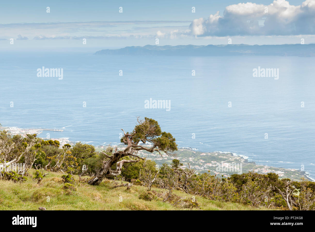 Ansicht von der Kante der Insel Pico, zugrunde liegende Küste mit dem windblown Bäume und der benachbarten Insel Sao Jorge Stockfoto