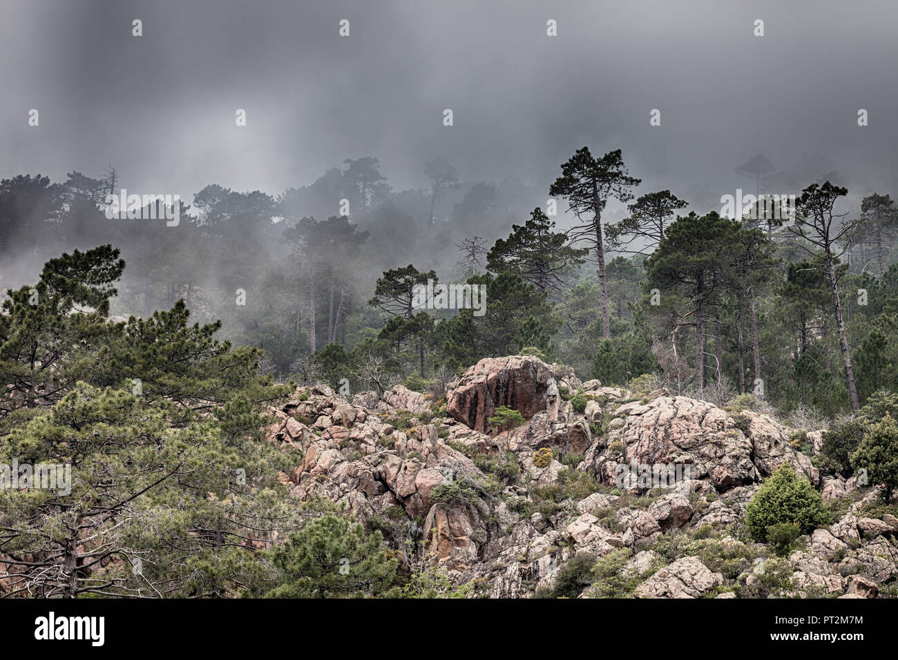 Bizarre Berglandschaft im Nebel bei Calvi, Korsika Stockfoto