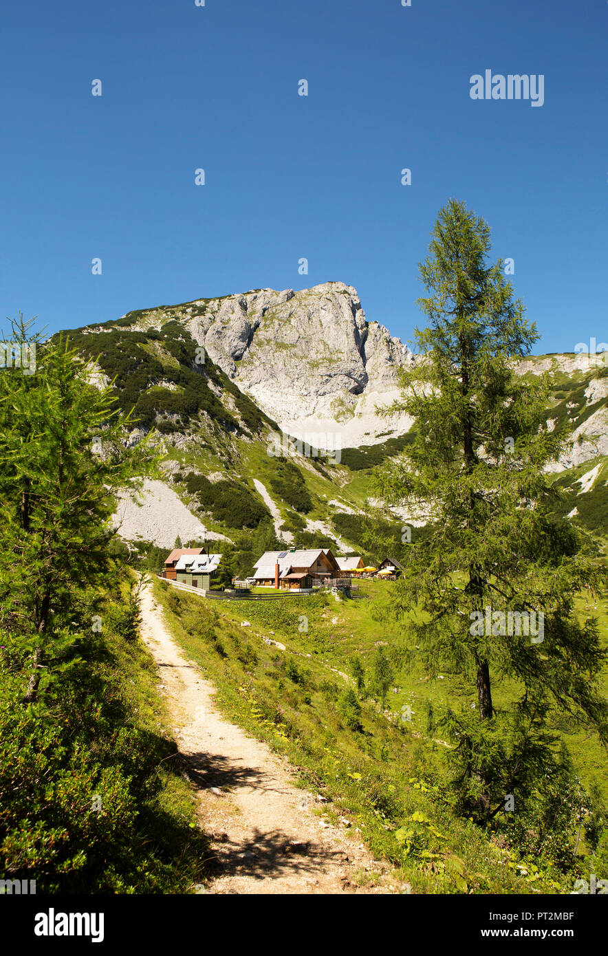 Österreich, Steiermark, Salzkammergut, Steirische Salzkammergut, Ausseerland, Tauplitz, Tauplitz Alm, Almhütten, Totes Gebirge, Stockfoto