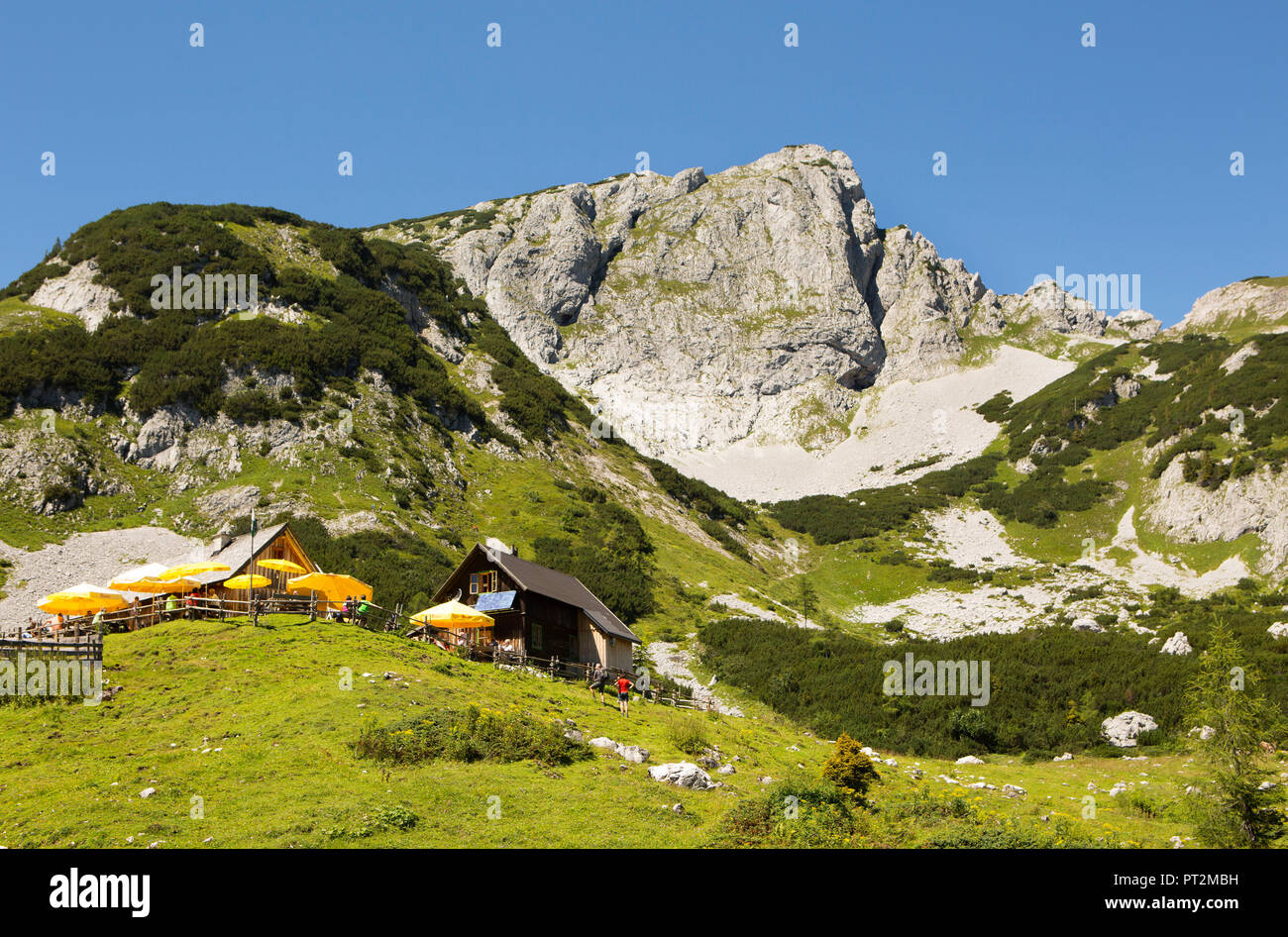 Österreich, Steiermark, Salzkammergut, Steirische Salzkammergut, Ausseerland, Tauplitz, Tauplitz Alm, Almhütten, Totes Gebirge, Stockfoto