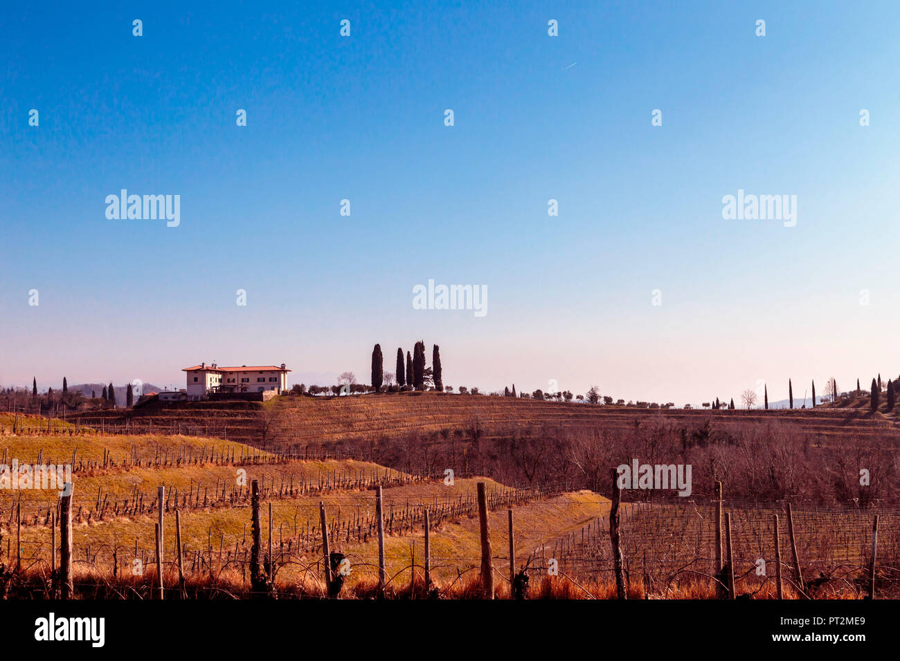Collio Friulano, Provinz Udine, Friaul-Julisch-Venetien, Italien, sonnigen Tag in den Weinbergen. Stockfoto
