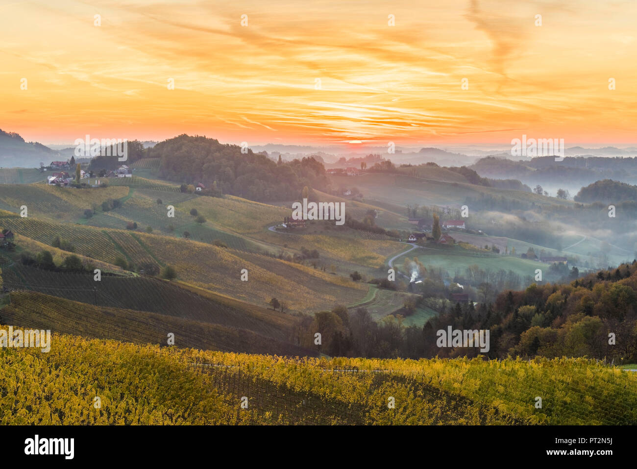 Sonnenaufgang in der Weinregion, Spicnik, Kungota, Drau region, Slowenien, Stockfoto