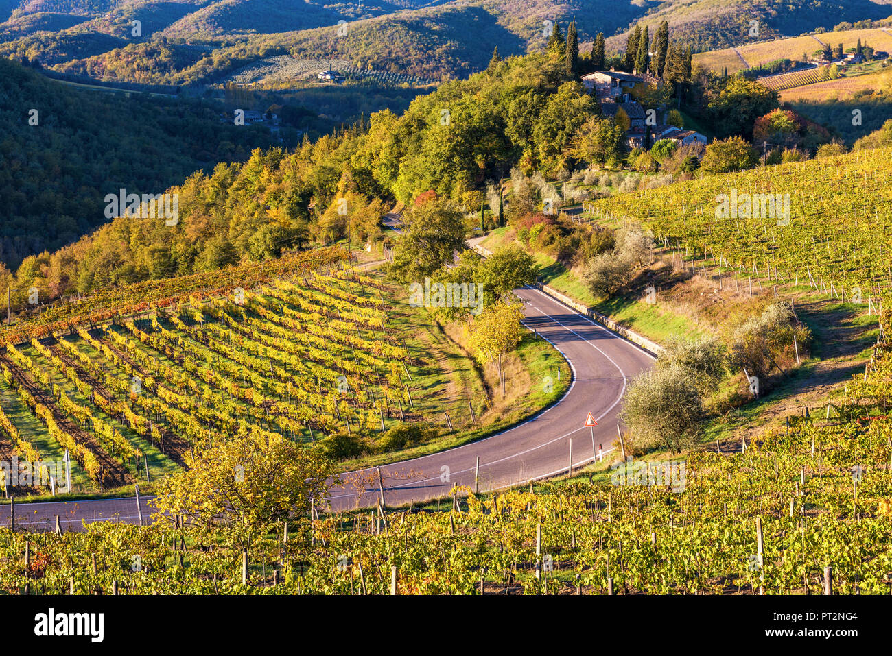 Greve in Chianti, Provinz Florenz, Toskana, Italien, Bauernhaus und Weinberge bei Sonnenaufgang Stockfoto