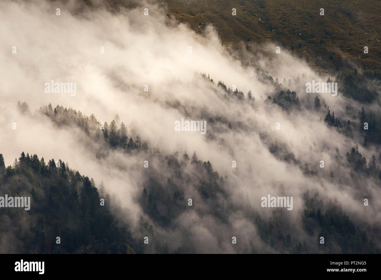 Wolken wrap Bäume, Spluga Tal, Campodolcino, Provinz Sondrio, Lombardei, Italien, Europa Stockfoto