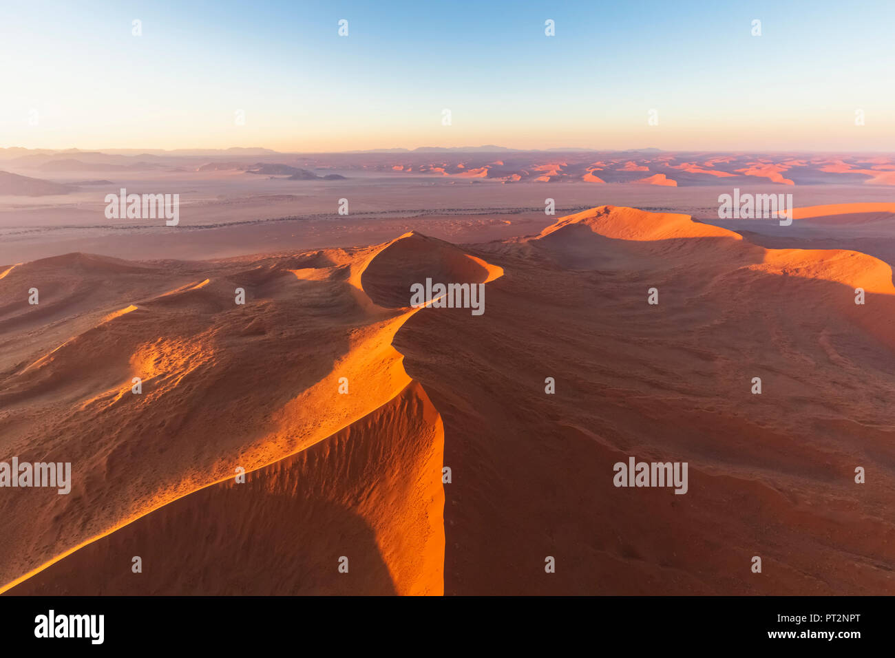 Afrika, Namibia, die Wüste Namib, Namib-Naukluft-Nationalpark, Luftaufnahme von Dünen der Wüste im Morgenlicht Stockfoto