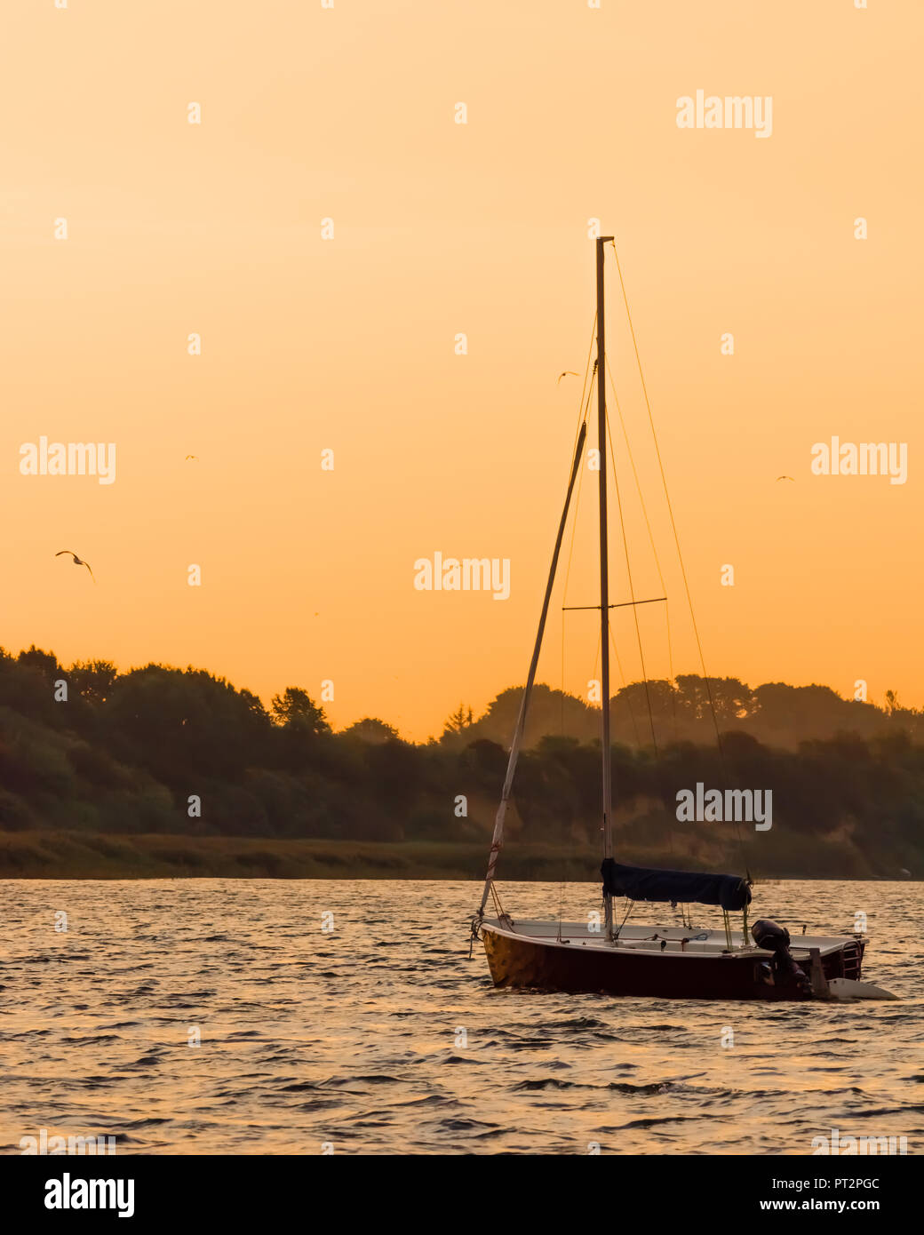 Der kleine rote Segelboot liegt im Hafen von Morgen Stockfoto
