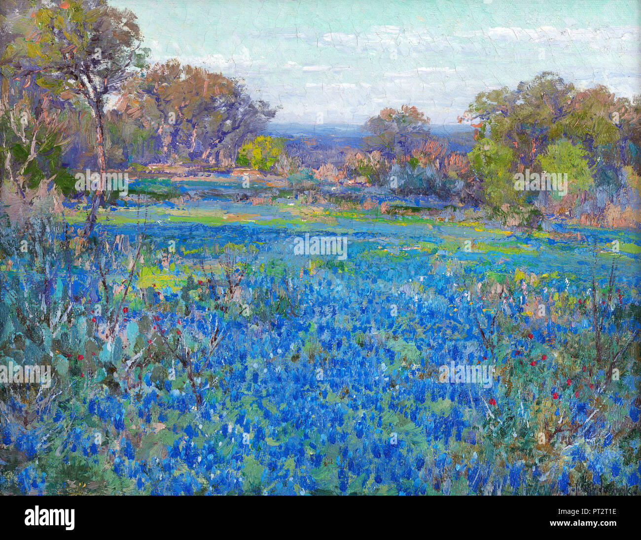 Julian Onderdonk, ein Feld von Blauen Mützen, am späten Nachmittag Sonne, ca. 1919-1920. Öl auf Pappe, Pfannenstiel-Plains Historische Museum, Canyon, Texas, USA Stockfoto