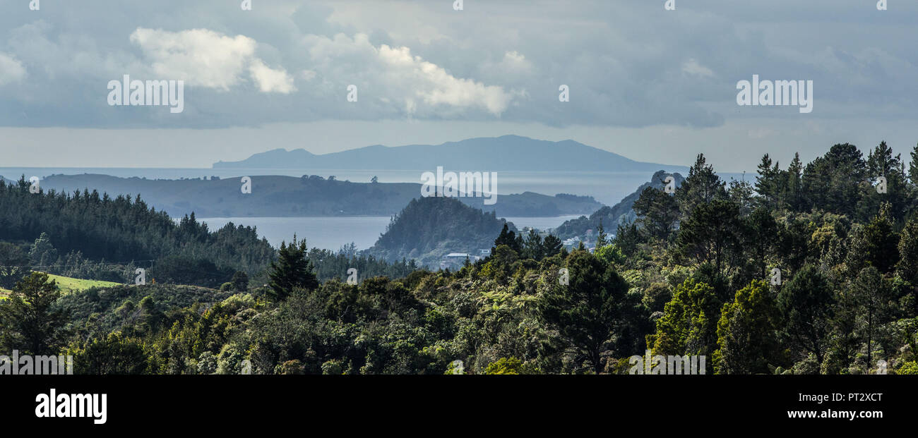 Neuseeland, Nordinsel, Tapu, Hügel, Stockfoto