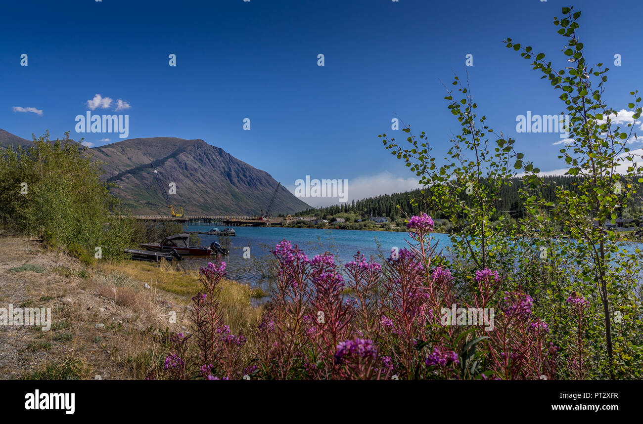 Schönes scen kleiner See in der Nähe von Carcross, Yukon Kanada Stockfoto