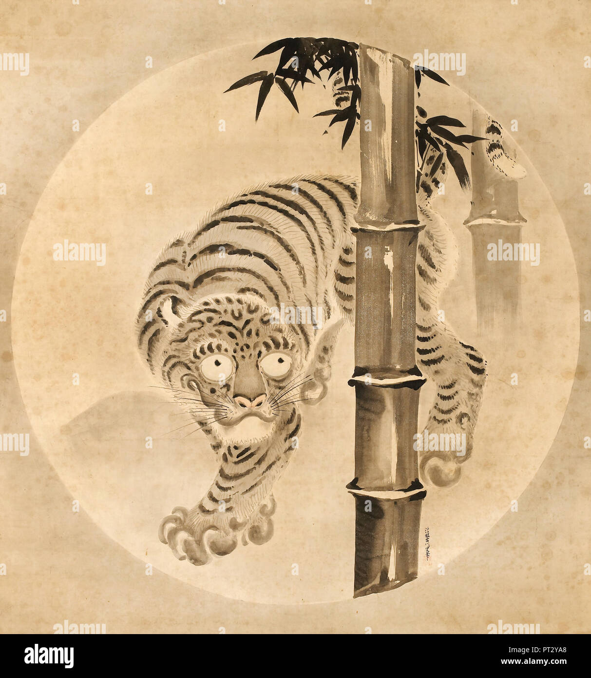 Kano Tsunenobu, Tiger aus Bambus, ca. 1704-1713, Tusche und Farben auf Papier, Minneapolis Institut der Künste, USA. Stockfoto