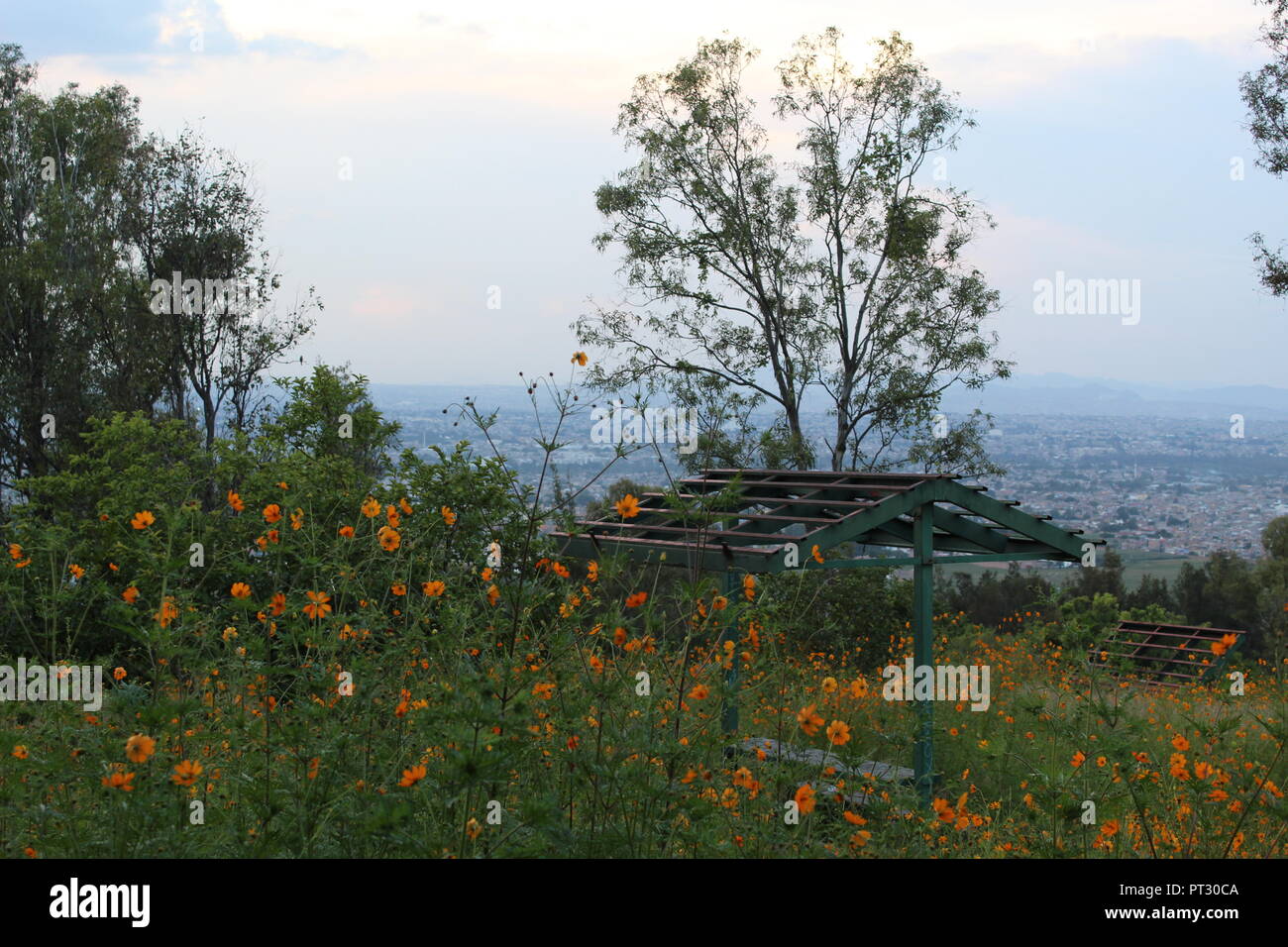 Foto tomada en El Cerro de la Reina en el Municipio de Tonala Jalisco Mexico en Donde se aprecia una vista Panoramica de la Ciudad de Guadalajara Jal Stockfoto