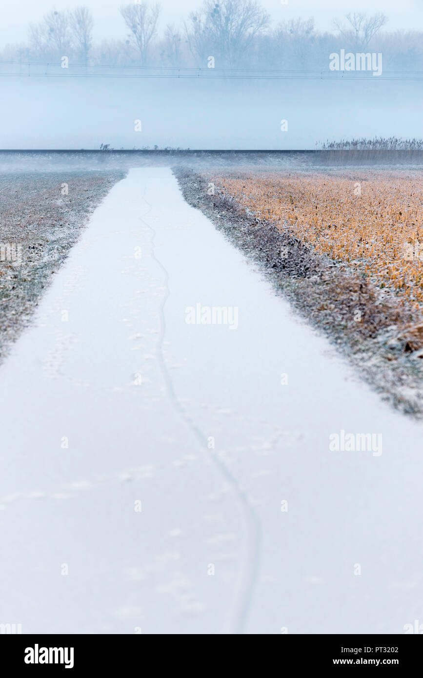 Winterlandschaft, flaches Land mit Anschluss zwischen Feldern Stockfoto