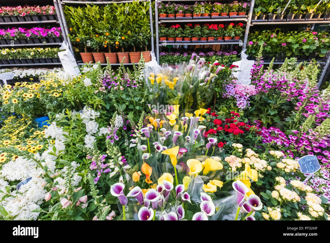 England, London, Columbia Road Flower Market Stockfoto