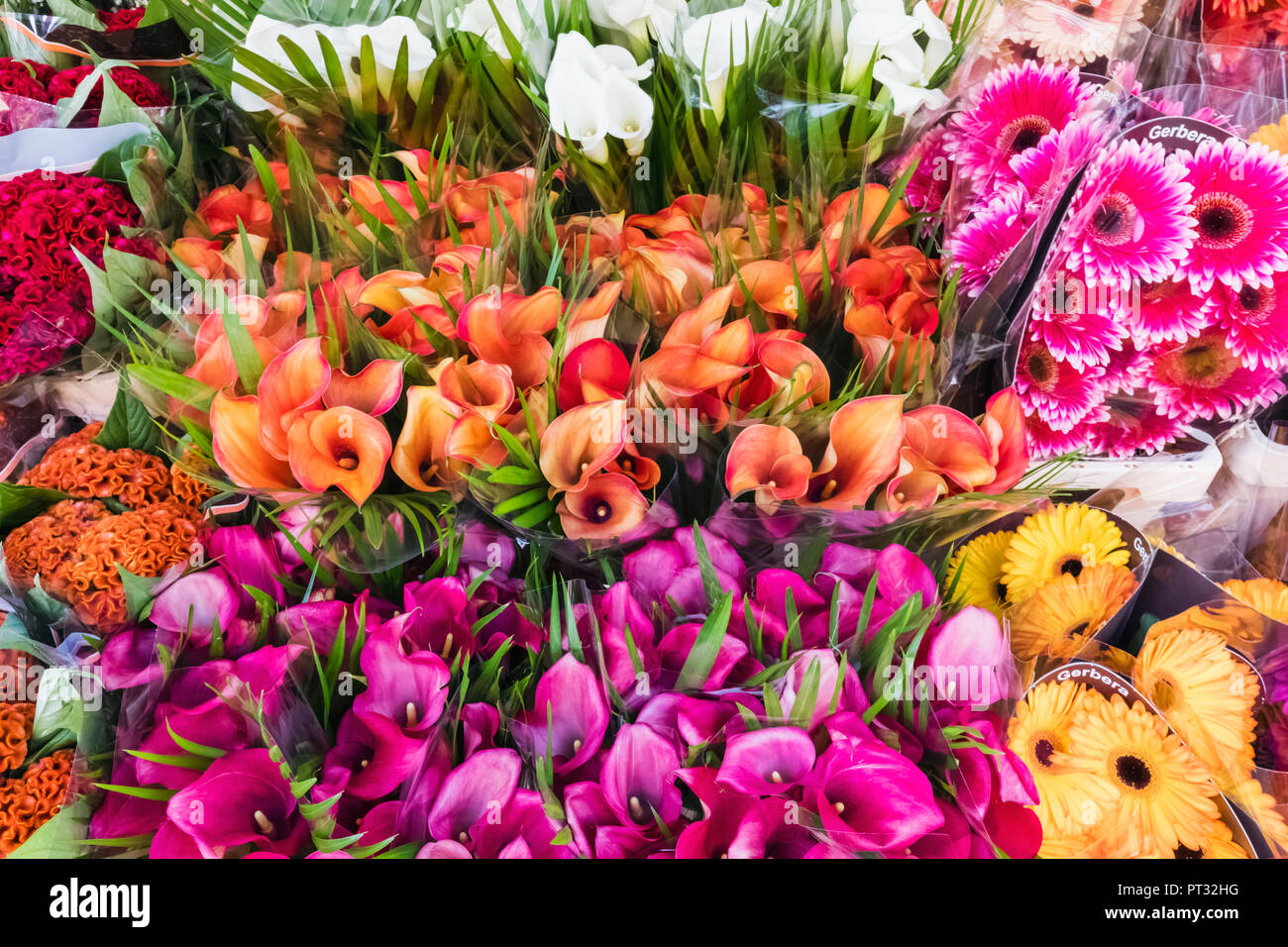 England, London, Columbia Road Flower Market Stockfoto