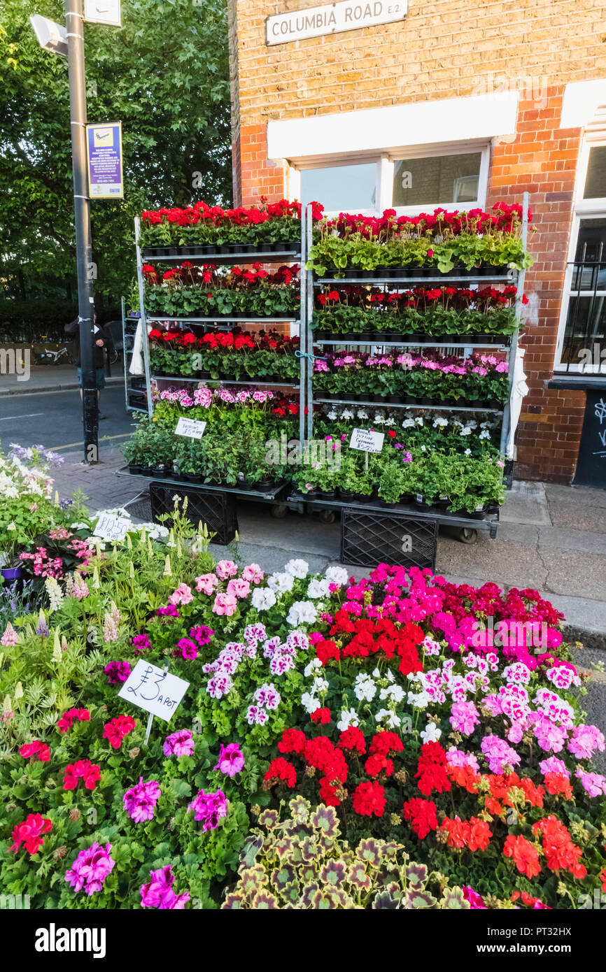 England, London, Columbia Road Flower Market Stockfoto