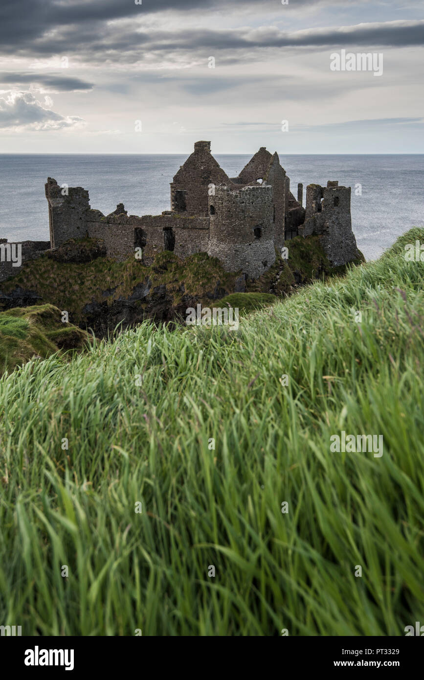 Dunluce Castle, County Antrim, Ulster, Nordirland, Vereinigtes Königreich, Stockfoto