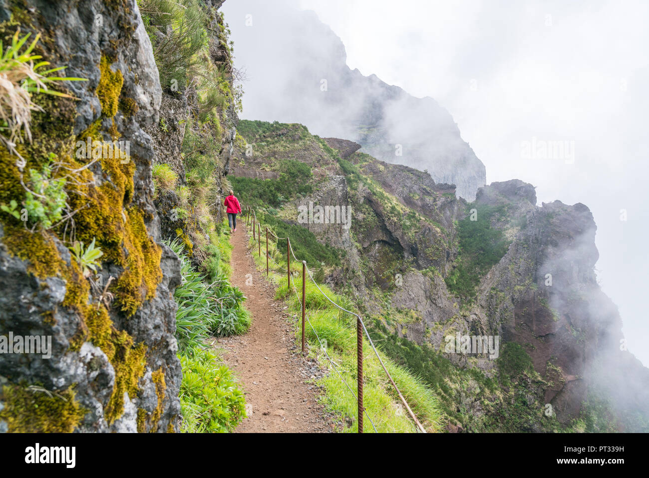 Frau Wandern auf den Spuren von Pico Ruivo zu Pico do Areeiro, Santana Gemeinde, Region Madeira, Portugal, Stockfoto