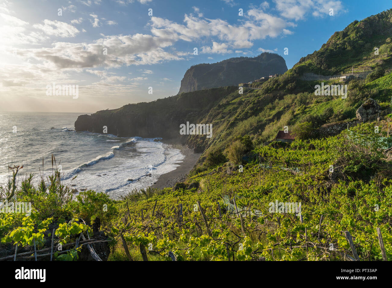 Weinberge und Obstplantagen mit Kran Aussichtspunkt im Hintergrund, Faial, Santana Gemeinde, Region Madeira, Portugal, Stockfoto