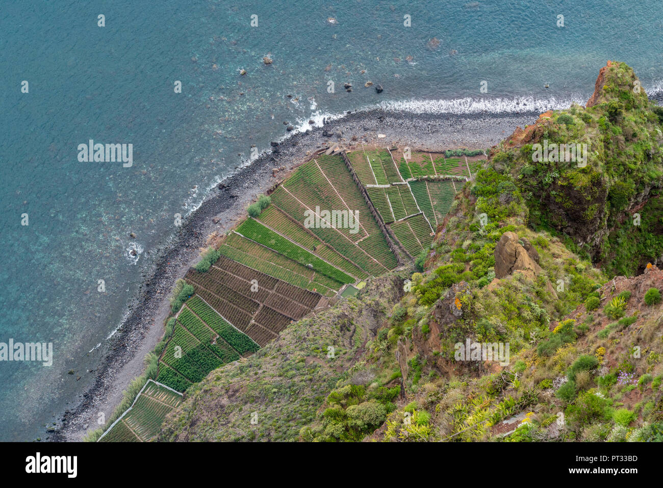 Die Plantagen und den Atlantik von Cabo Girao Skywalk und Aussichtspunkt, Camara de Lobos, Madeira, Portugal, Stockfoto