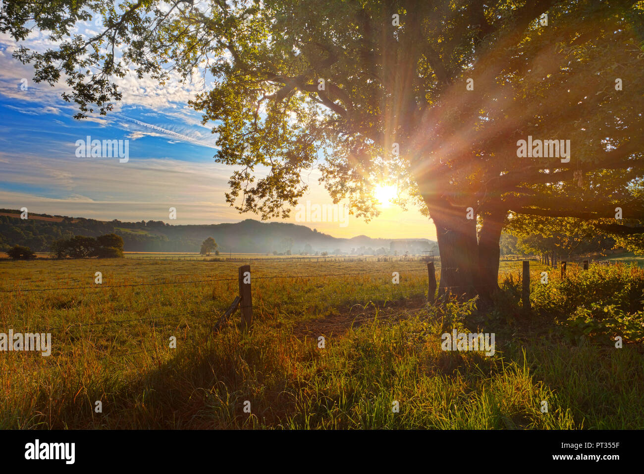 Sonnenaufgang über dem Haarstrang, glänzend in die nebligen moehnetal, Eiche Baum im Vordergrund, Ort: warstein - belecke, Sauerland, Deutschland; siehe ähnliche HDR-Bilder von Standort, Stockfoto