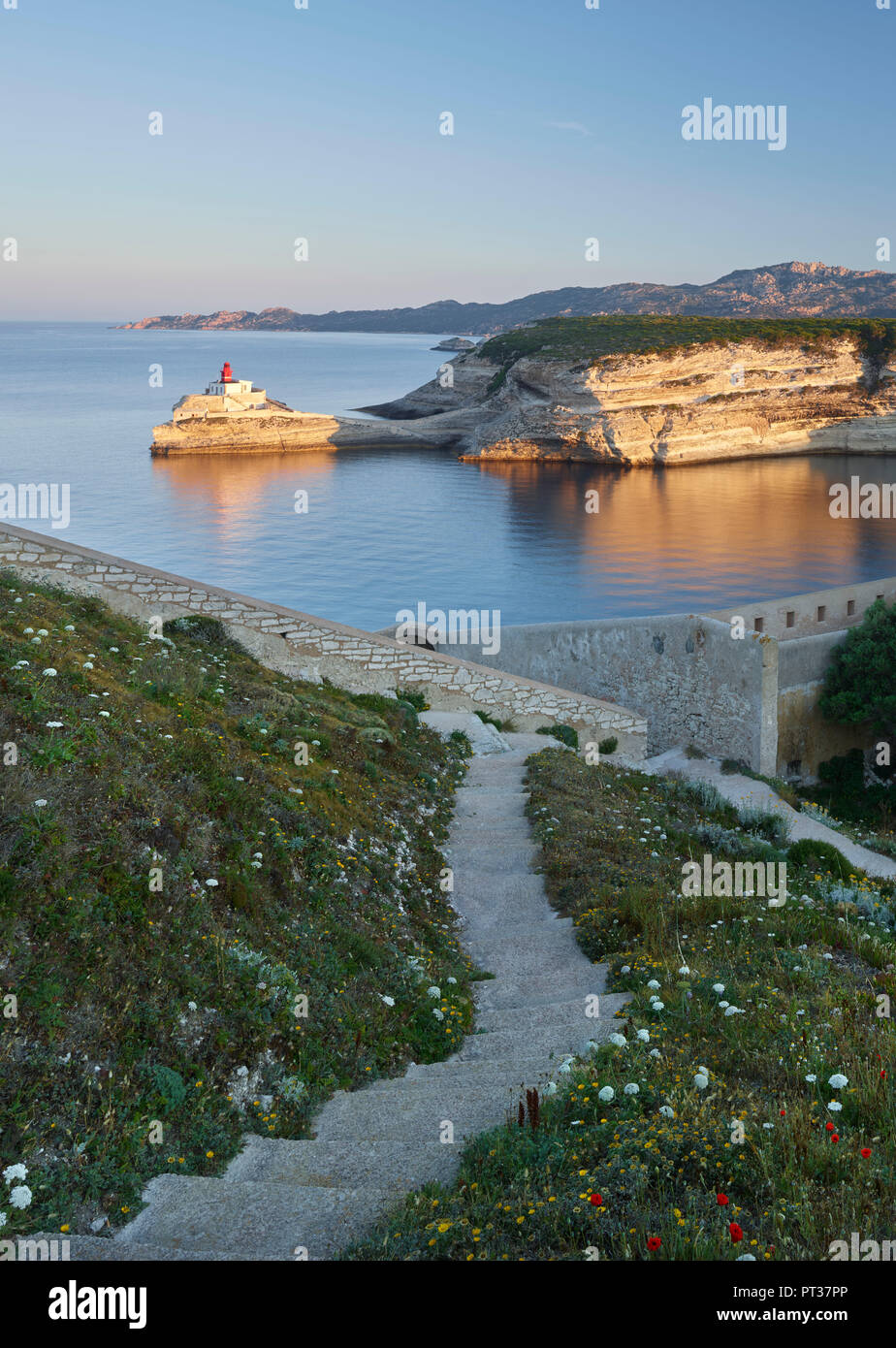 Bucht von Bonifacio, Corse, Korsika, Frankreich Stockfoto