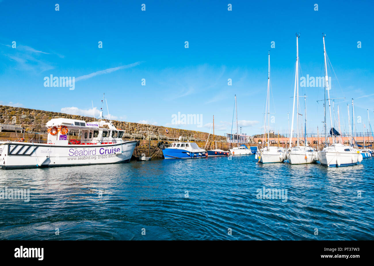 Scottish Seabird Centre Kreuzfahrt Katamaran- und Segelboote, North Berwick Hafen, East Lothian, Schottland, Großbritannien Stockfoto