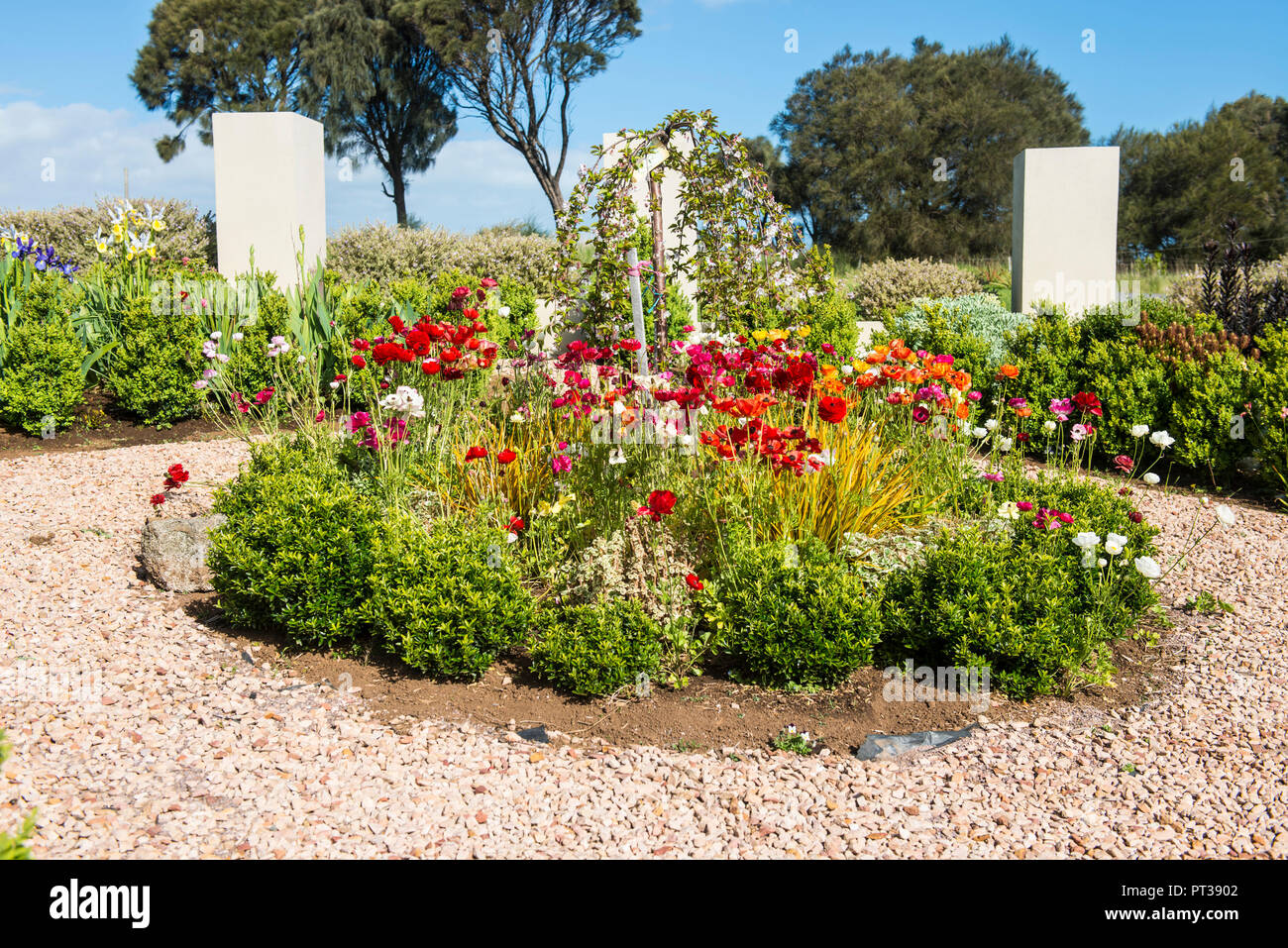 Australische Blumengarten, Victoria Stockfoto