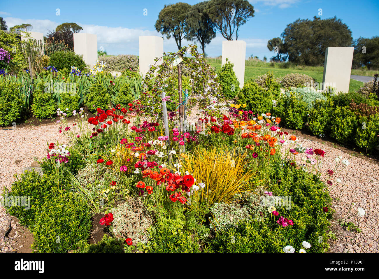 Australische Blumengarten, Victoria Stockfoto