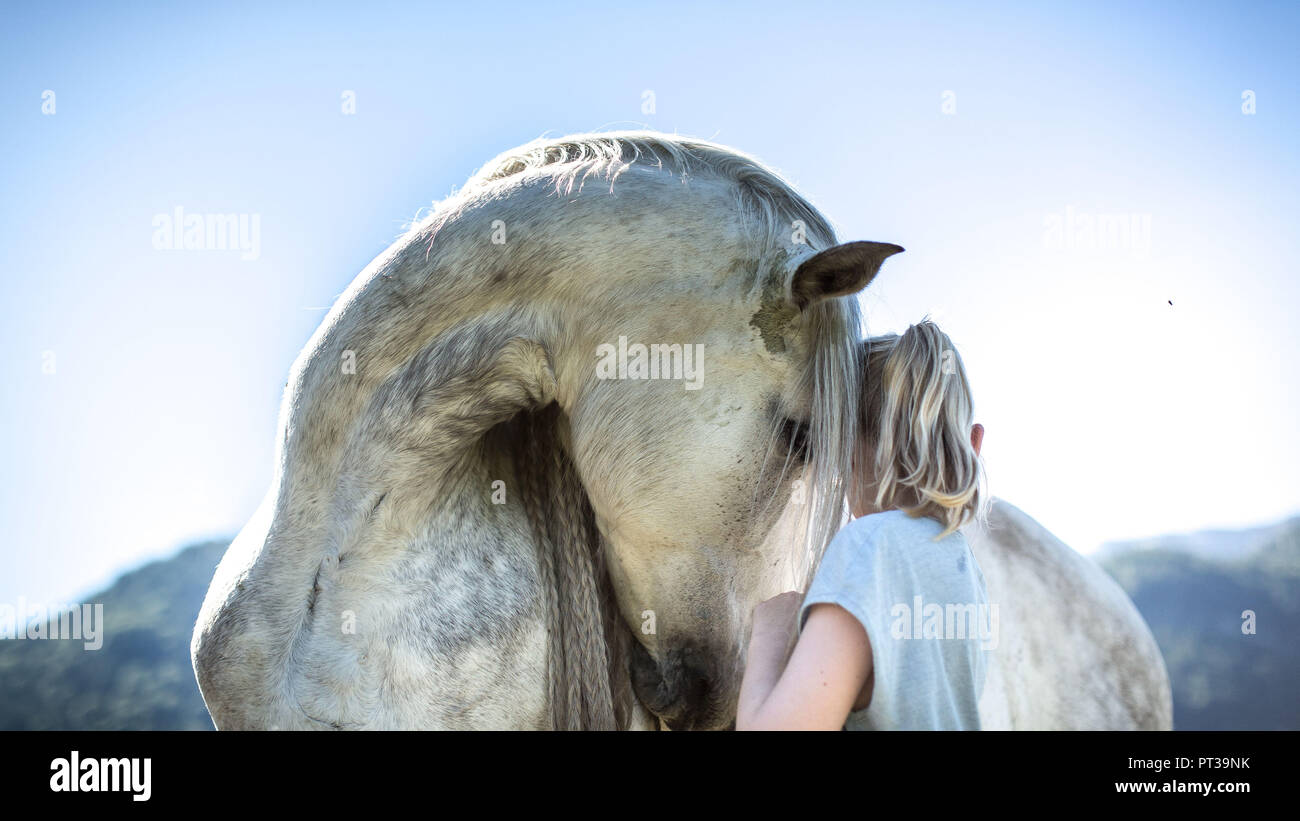 Graues Pferd und ein Mädchen mit blondem Haar, intime und familiäre Geste Stockfoto
