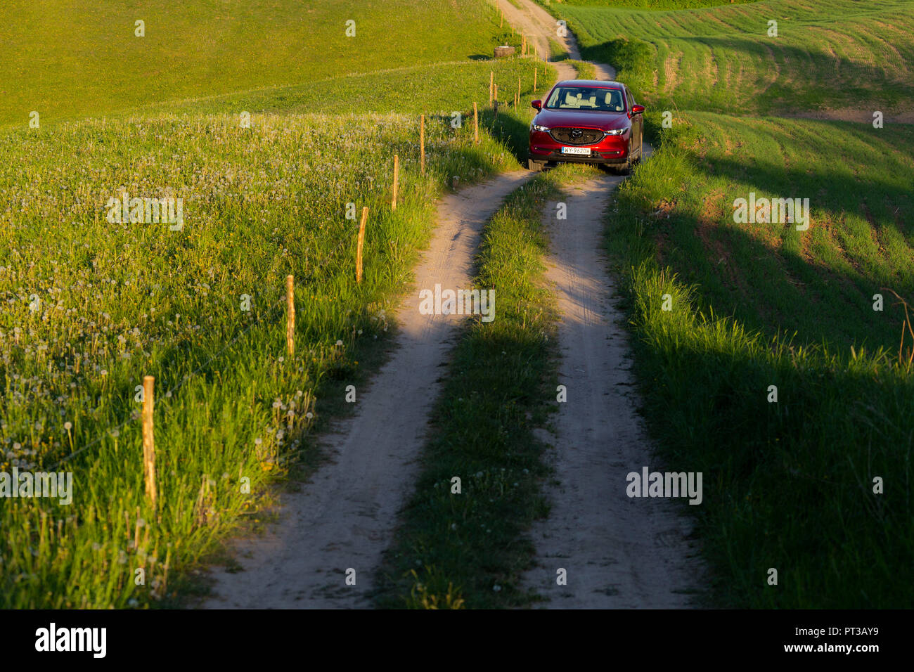 Europa, Polen, Woiwodschaft Podlachien, suwalskie/Suwalszczyzna - Mazda CX-5 II 2,5 SkyPassion AWD Stockfoto