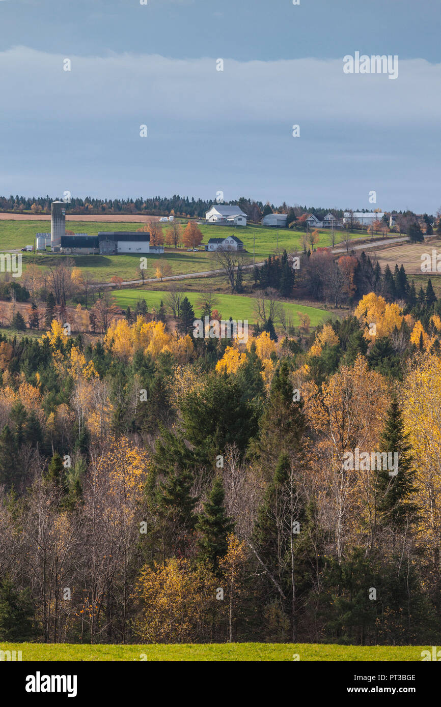 Kanada, Quebec, Chaudiere-Appalaches Region, Wilson, Bauernhof, Herbst von Rt 269 Stockfoto