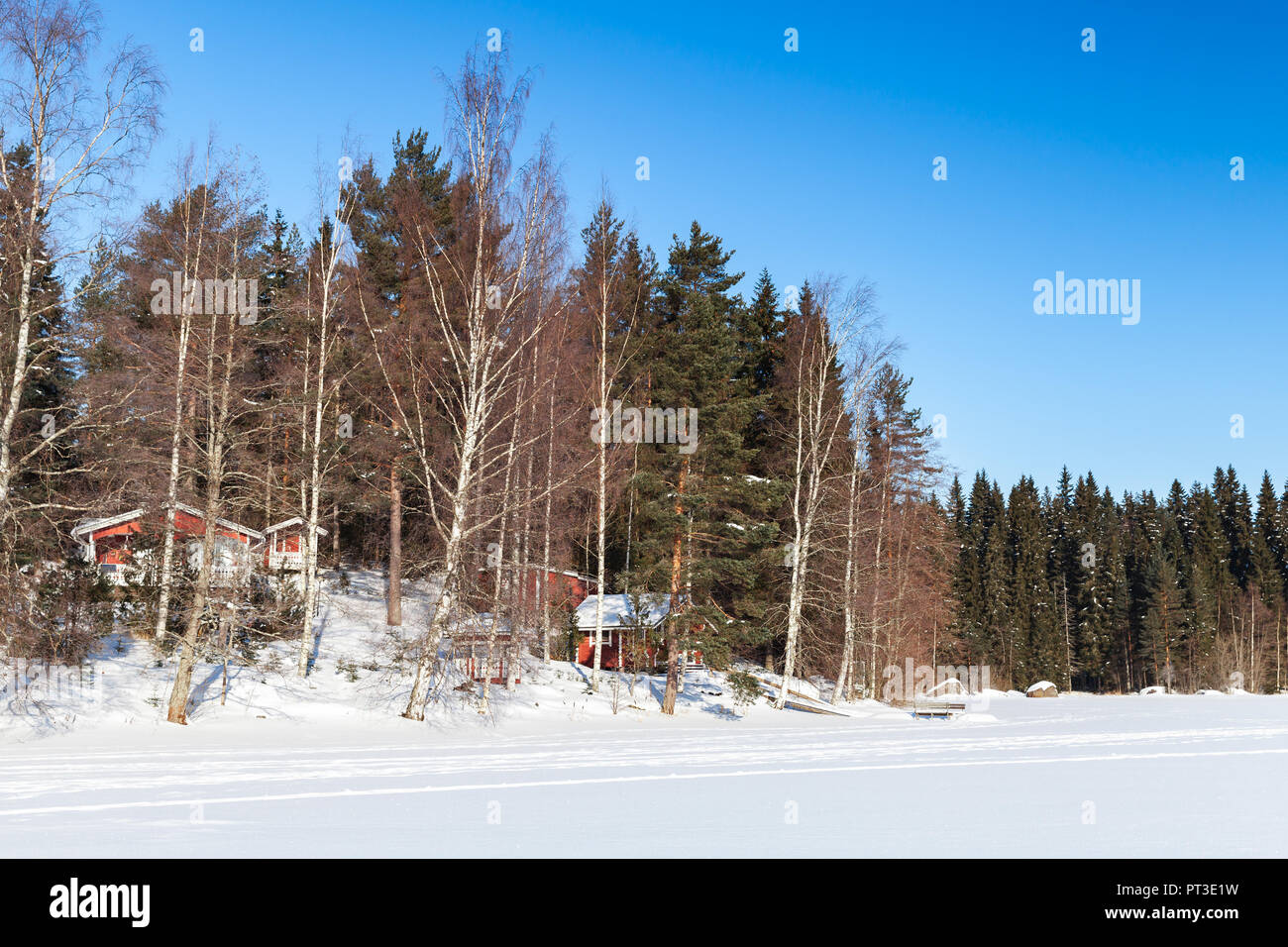 Ländliche Landschaft mit roten Holzhäuser in Küstenwald, Finnland im Winter Stockfoto