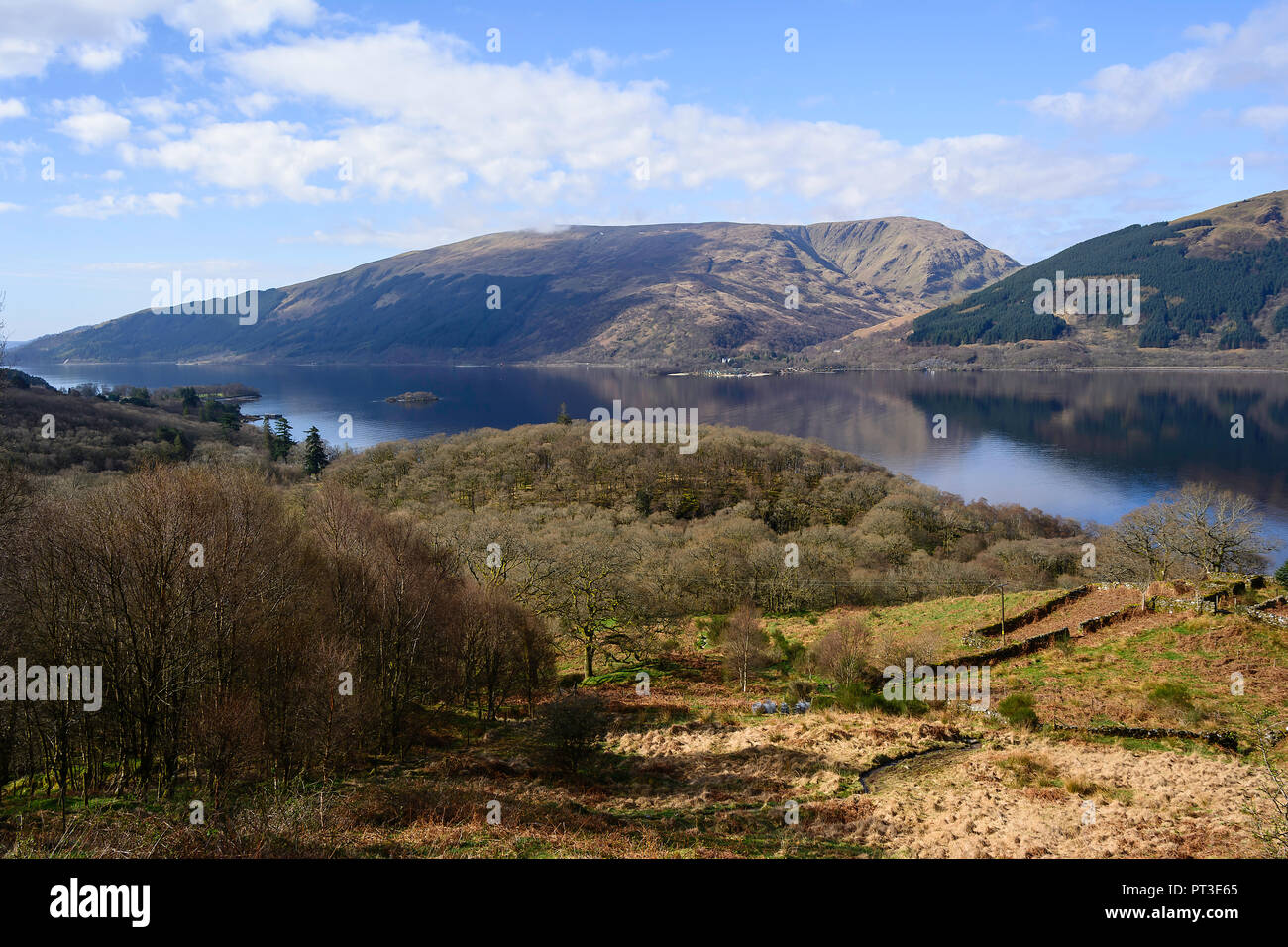 Ben Lomond Stockfoto