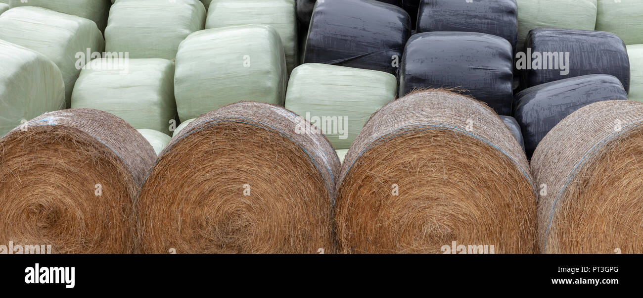 Gestapelte silage Bags, Grün und Schwarz hinter einer Reihe von Unverpacktem heulage Ballen Stockfoto