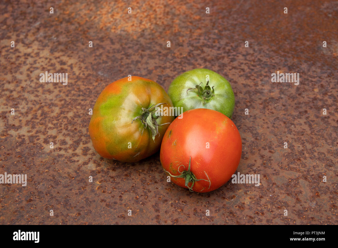 Drei grüne und rote Tomaten nicht ideal aus neuer Ernte auf rostigen melallic Oberfläche Hintergrund Stockfoto