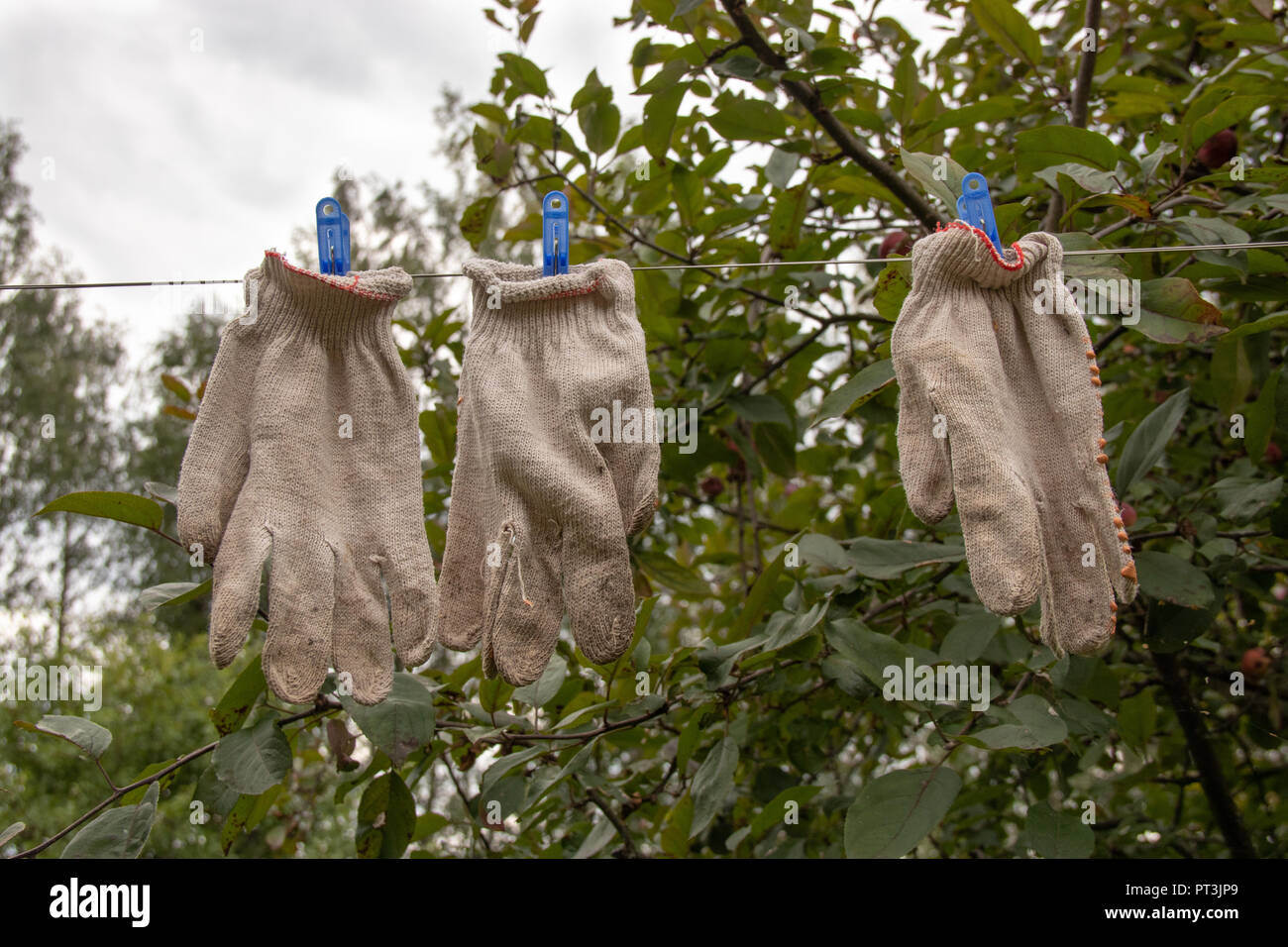 Alt, dreckig gardenng Handschuhe trocknet auf dem Seil mit blauen Stifte Stockfoto