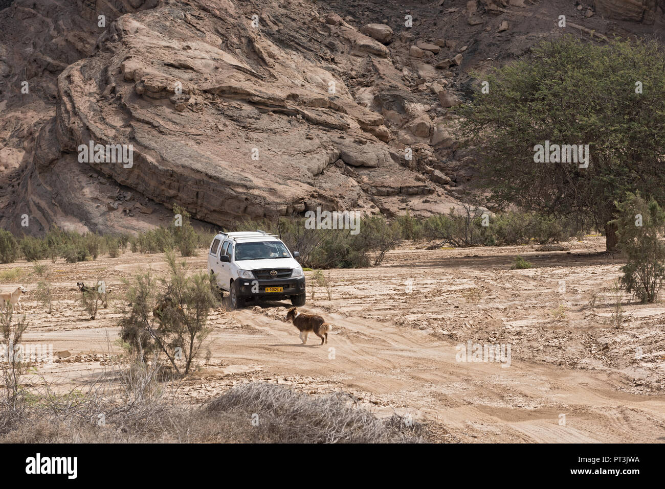 Auto auf einem Sandweg im trockenen Flussbett des Swakop River östlich von Swakopmund, Namibia. Stockfoto