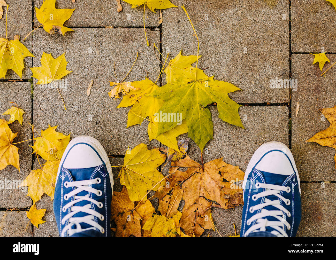 Direkt oberhalb der Schuß von Schuhen und buntes Herbstlaub auf Pflaster Stockfoto
