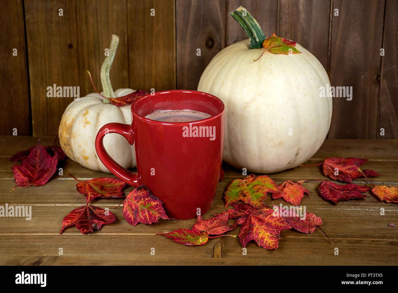 Heiße Schokolade in rot Tasse mit weißen Kürbisse und Herbstlaub auf rustikalem Holz Stockfoto