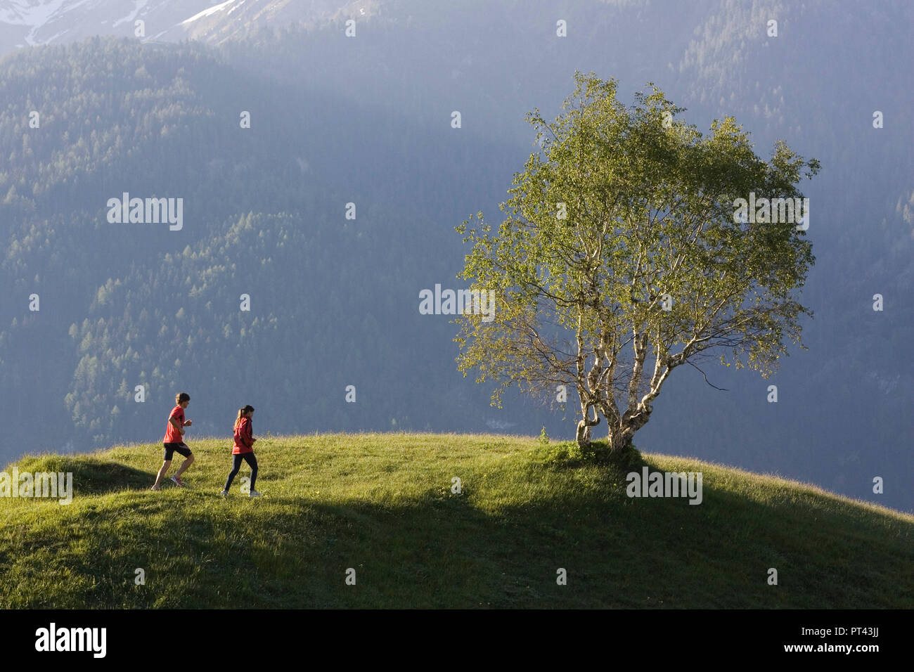 Berglauf in der Nähe von Serfaus, in der Nähe von Landeck, Tirol, Österreich Stockfoto