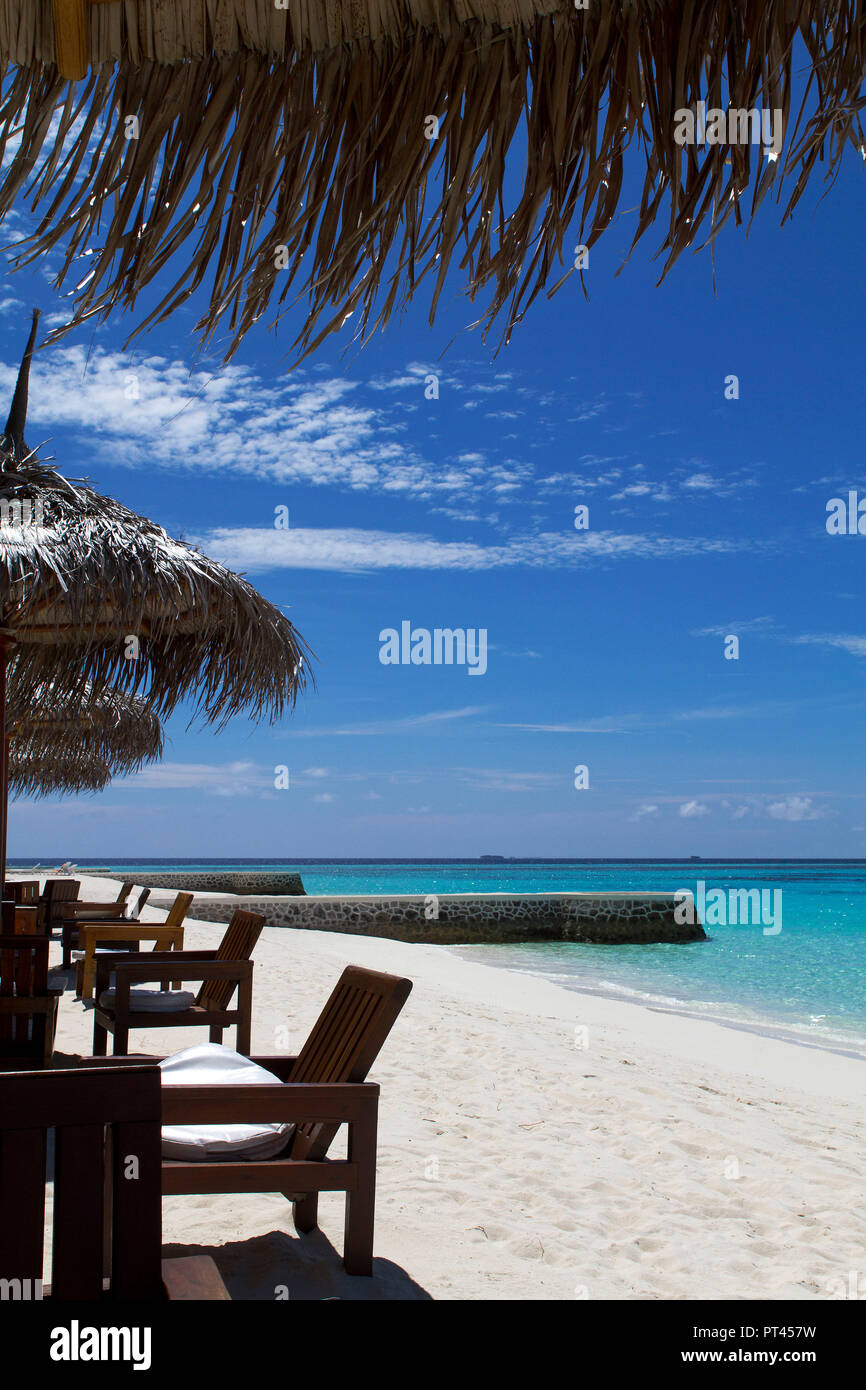 Malediven Ari Atoll Nord, Maayafushi, Indischer Ozean, Südasien Stockfoto