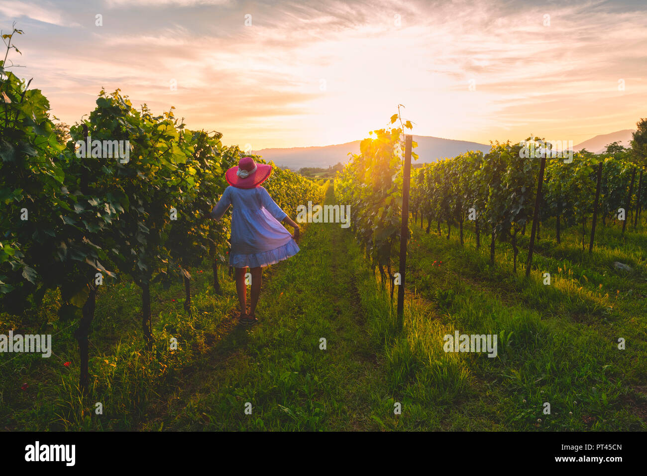 Frau in Zeilen, Franciacorta, Lombardei, Provinz Brescia, Italien, Stockfoto