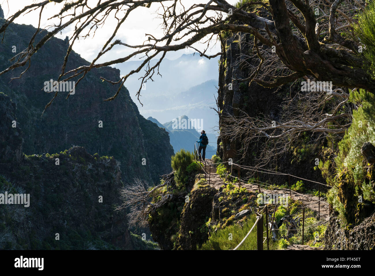 Frau Wandern auf den Spuren von Pico Ruivo zu Pico Areeiro, Achada tun Teixeira, Santana Gemeinde, Region Madeira, Portugal, Stockfoto