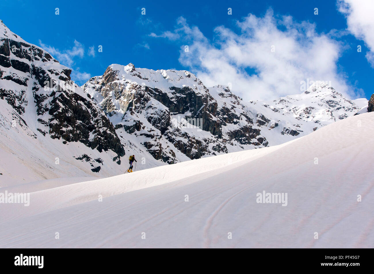 Skitouren auf ventina Gletscher auf Disgrazia Gruppe, Chiareggio, Valmalenco, Provinz Sondrio, Lombardei, Italien Stockfoto