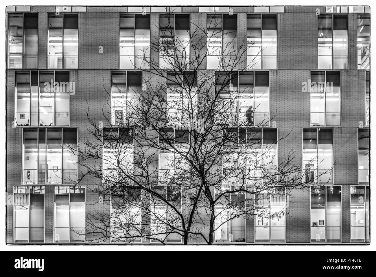 Kanada, Quebec, Montreal, UQAM, Universität von Quebec in Montreal, außen Stockfoto